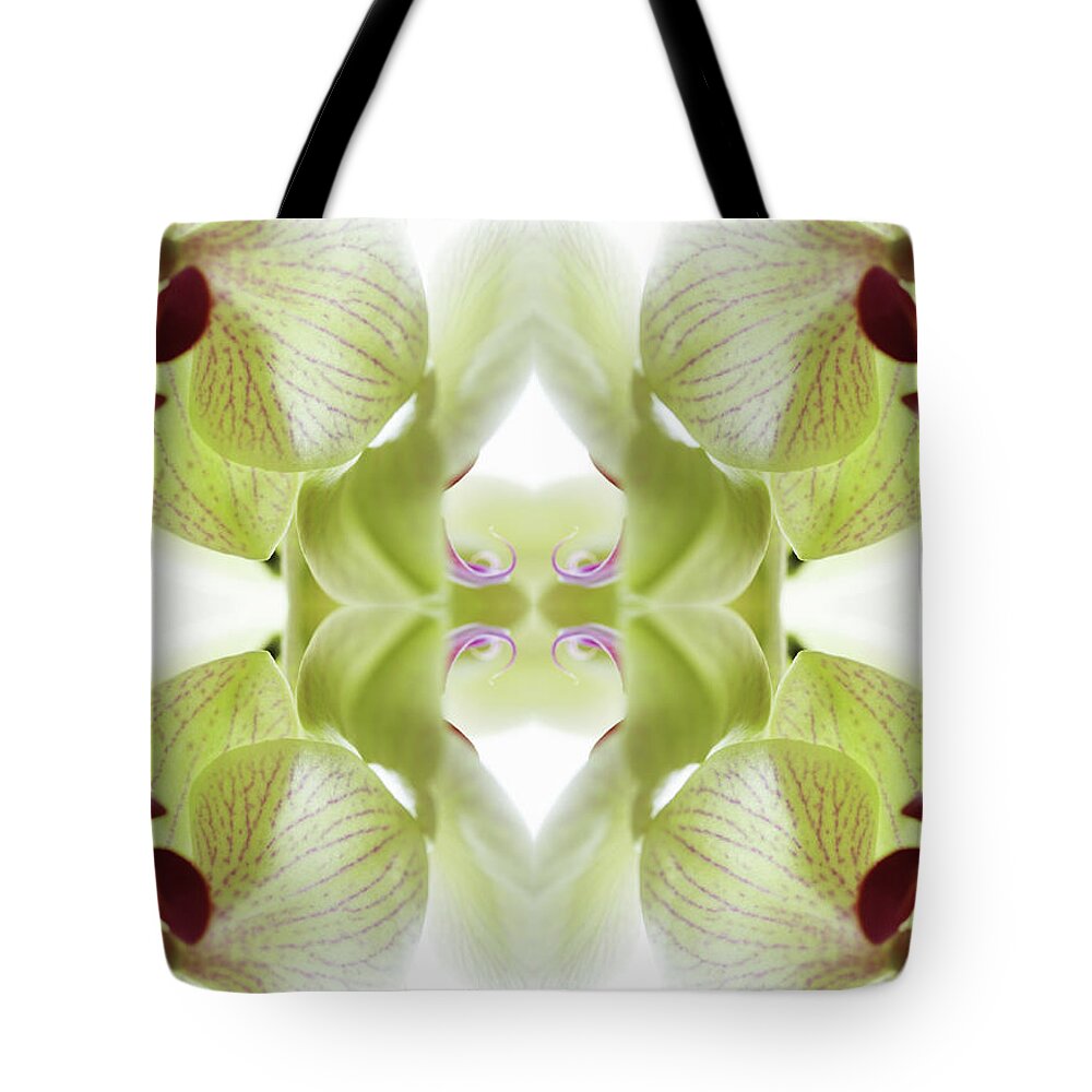 Tranquility Tote Bag featuring the photograph Beautiful, Finely Textured Orchid by Silvia Otte