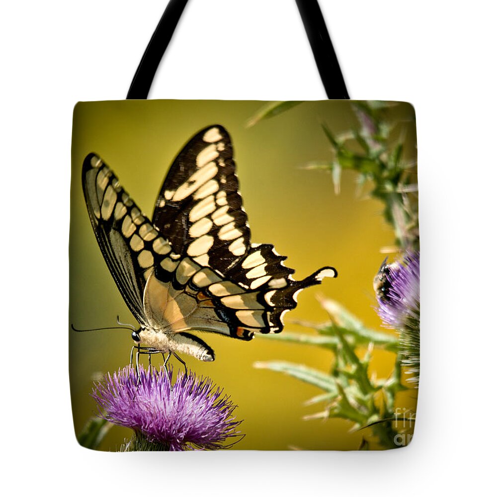 Giant Swallowtail Tote Bag featuring the photograph Beautiful Golden Swallowtail by Cheryl Baxter