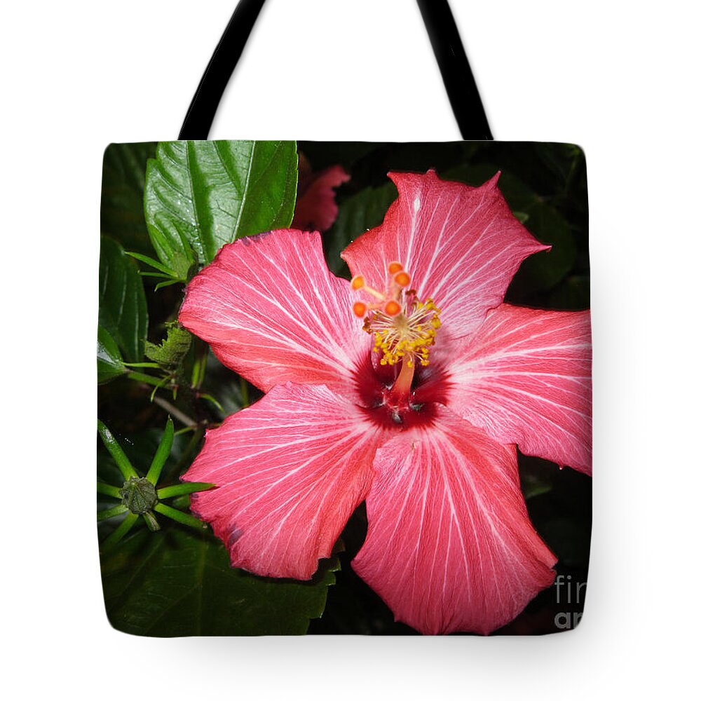 Best Tote Bag featuring the digital art Beautiful Hibiscus by Oksana Semenchenko