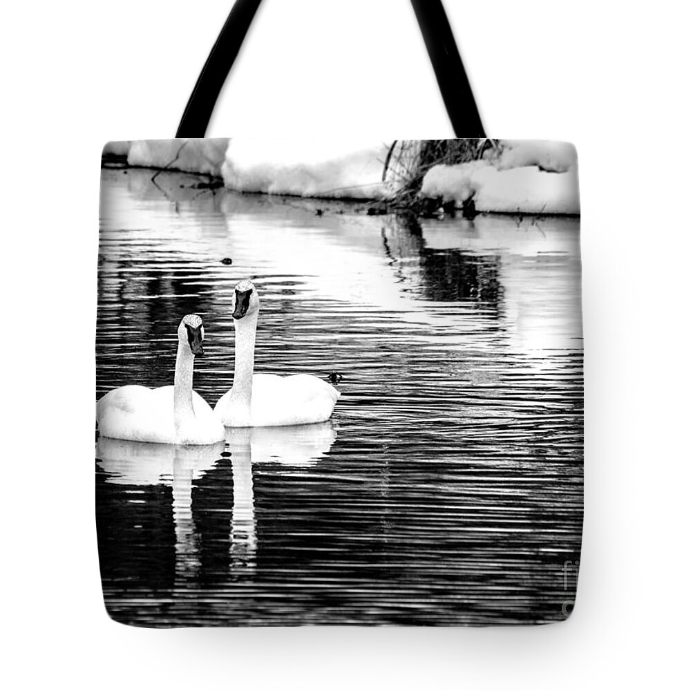 Landscape Tote Bag featuring the photograph Beautiful in Black and White by Cheryl Baxter