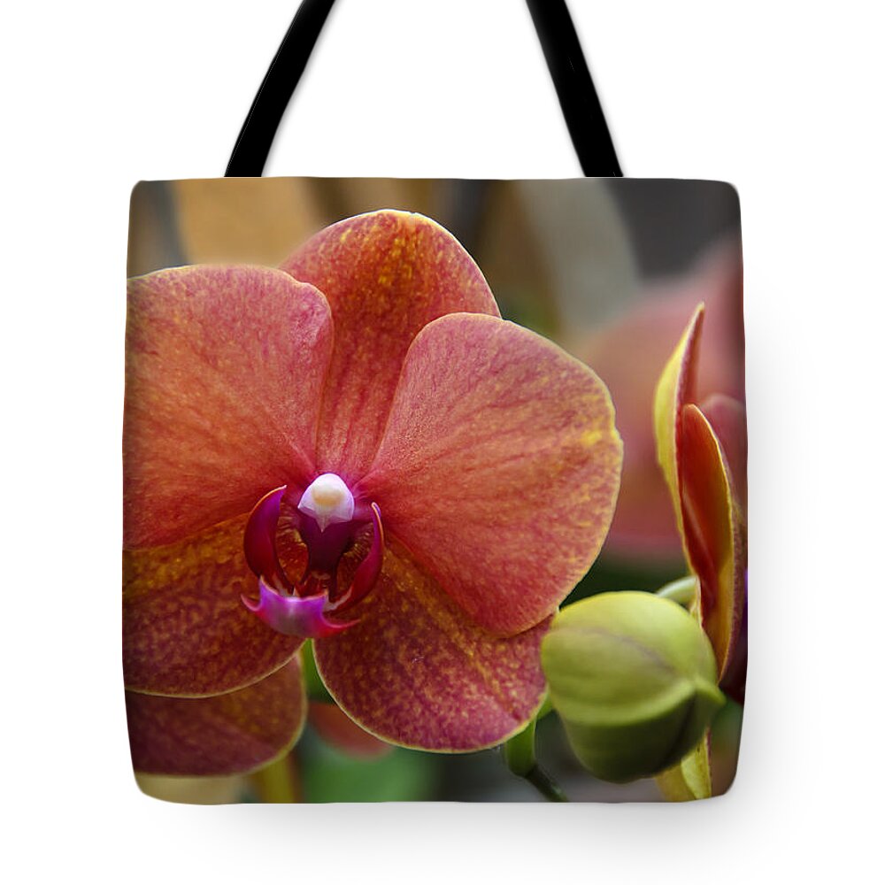 Beautiful Tote Bag featuring the photograph Beautiful Moth Orchid by Penny Lisowski