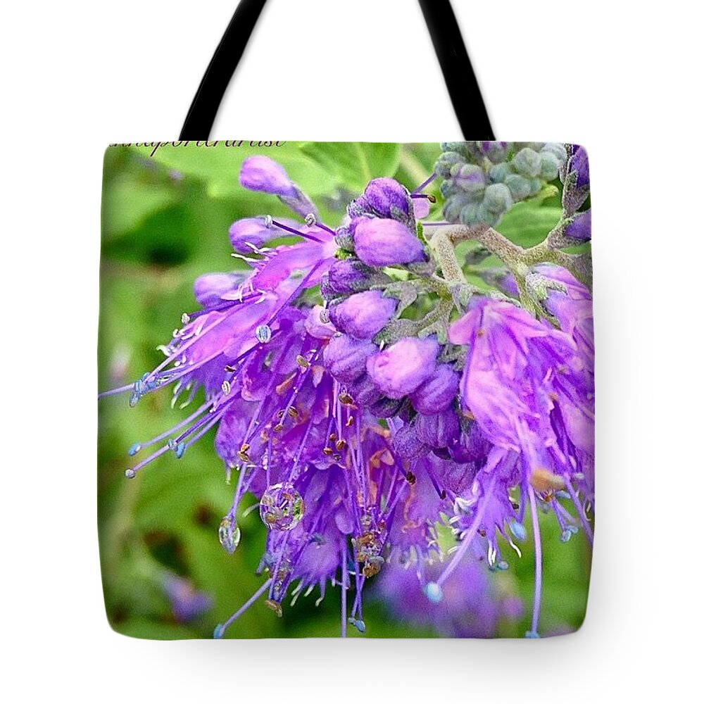 123purples Tote Bag featuring the photograph Beautiful Purple Flower From My Gardens by Anna Porter