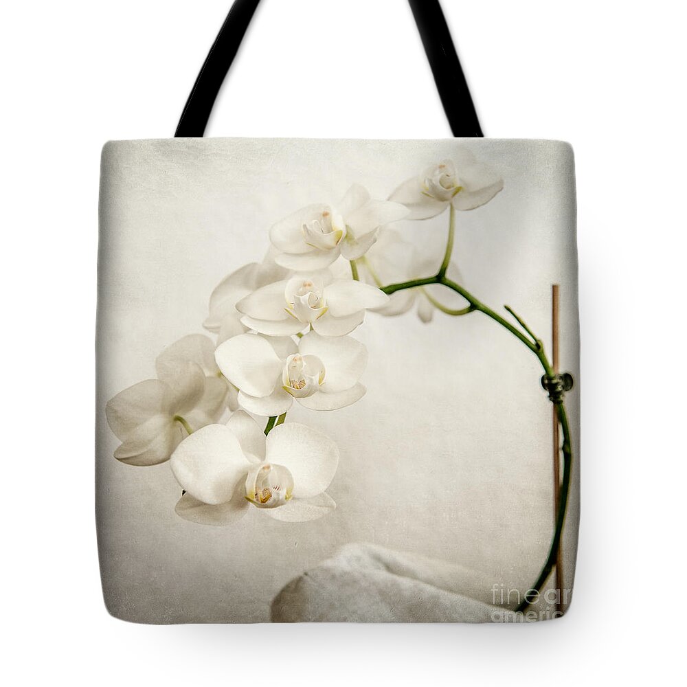 1x1 Tote Bag featuring the photograph Beautiful white orchid II by Hannes Cmarits