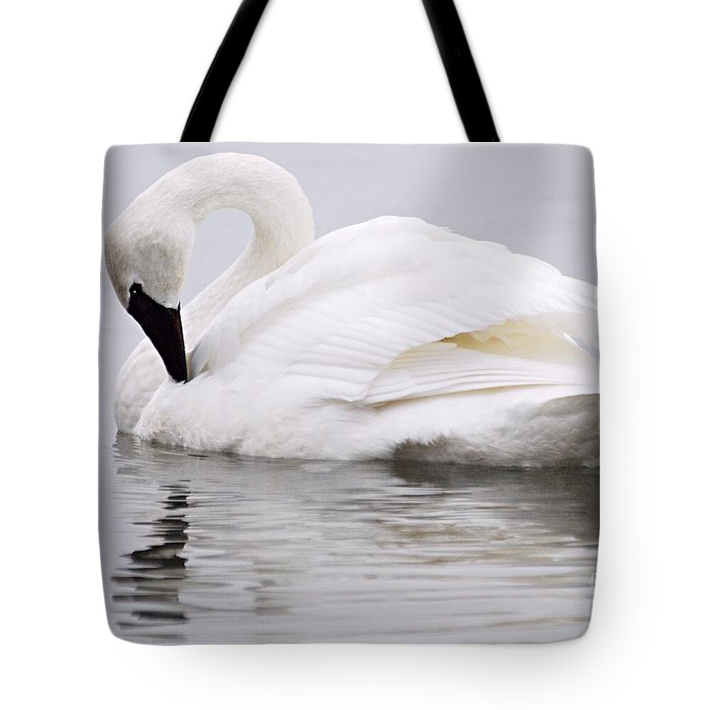 Photography Tote Bag featuring the photograph Beauty and Reflection by Larry Ricker