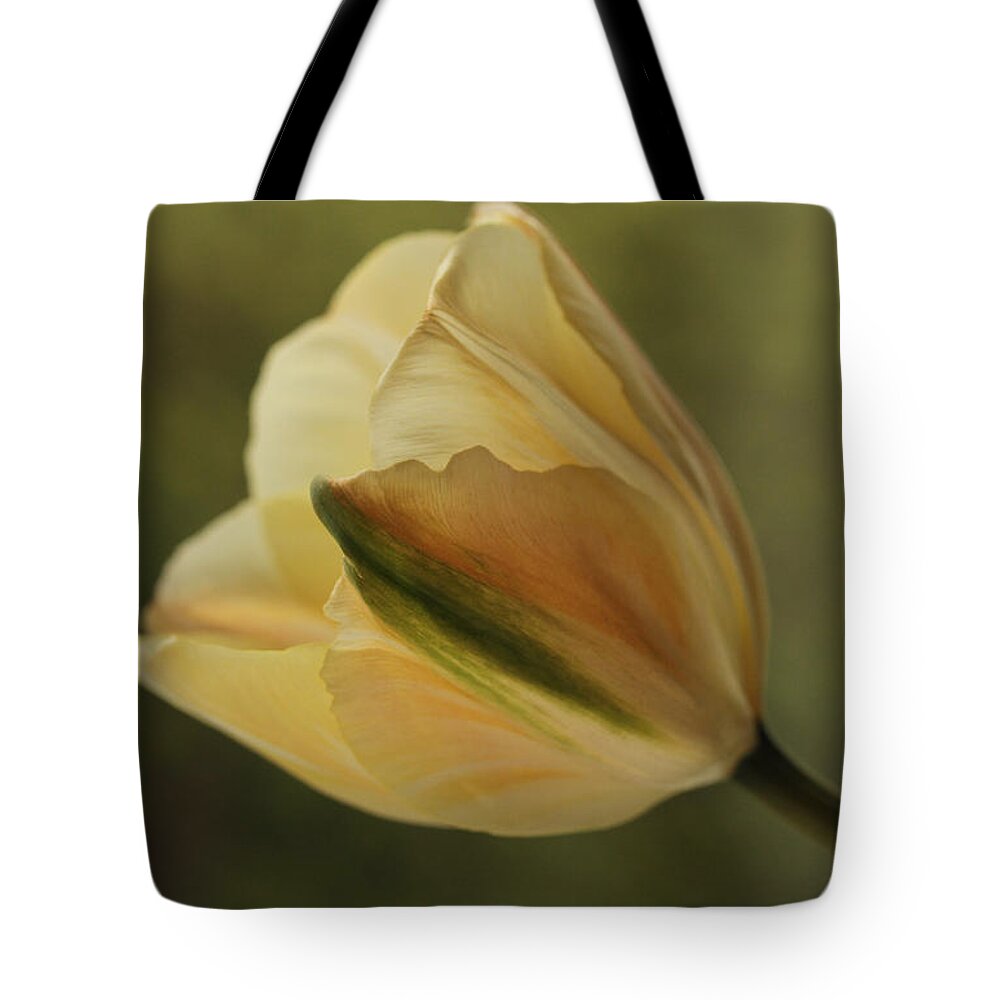 Connie Handscomb Tote Bag featuring the photograph Beauty by Connie Handscomb