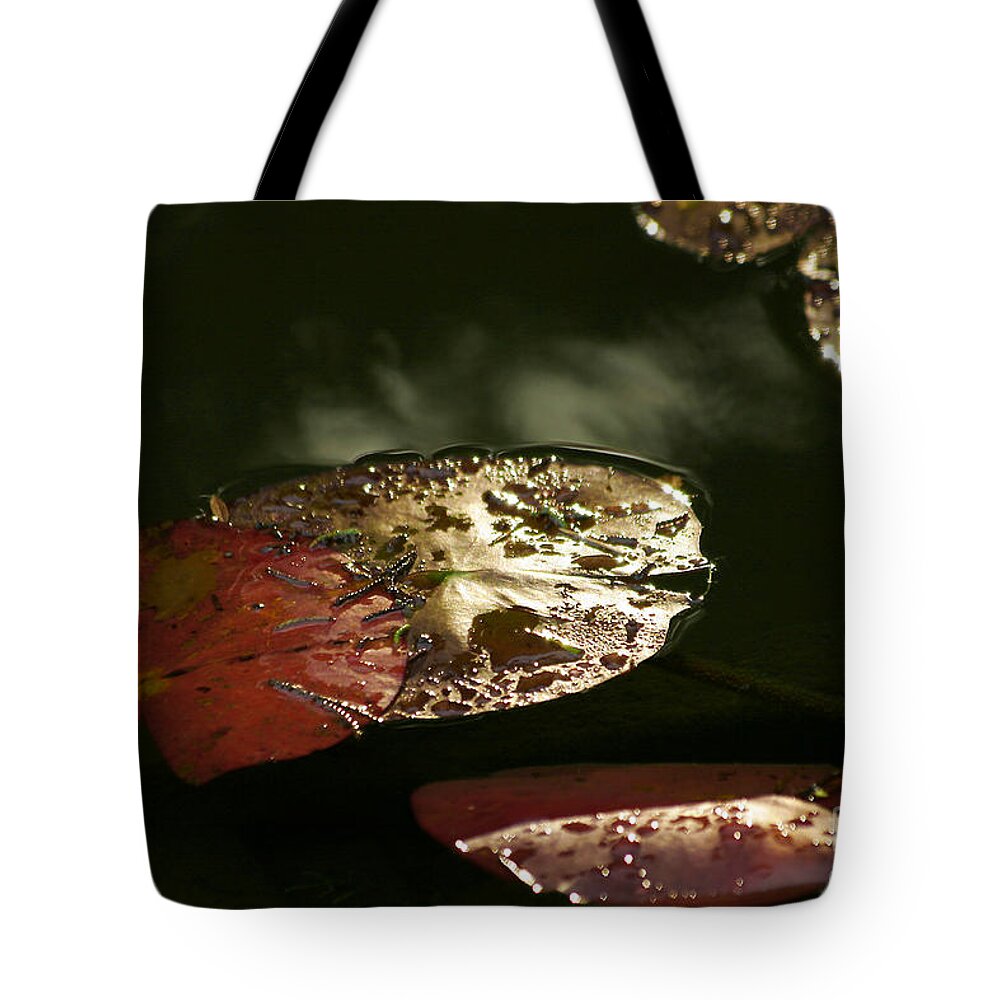 Tranquility Tote Bag featuring the photograph Beauty by Eileen Gayle
