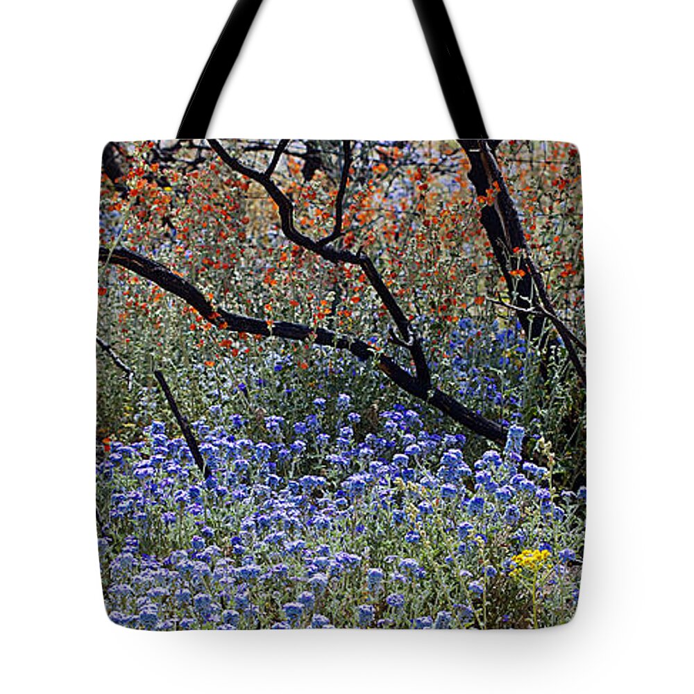 Flowers Tote Bag featuring the photograph Beauty For Ashes by Phyllis Denton