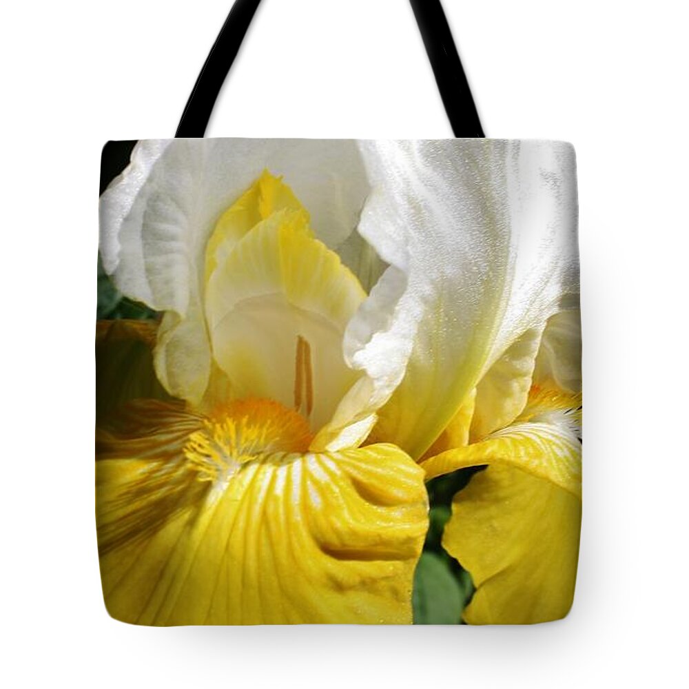 Flora Tote Bag featuring the photograph Beauty for the Eye by Bruce Bley