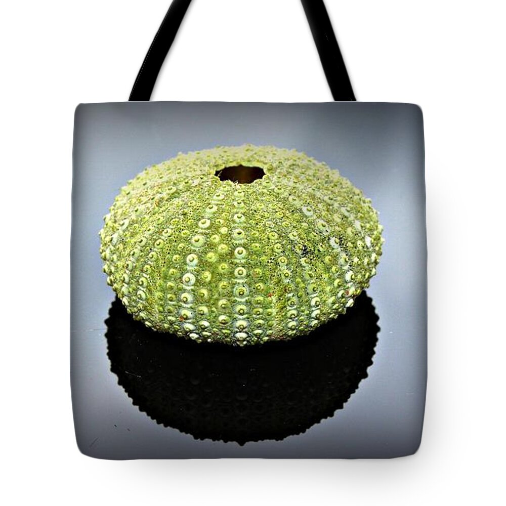 Sea Tote Bag featuring the photograph Beauty from the Sea by Clare Bevan