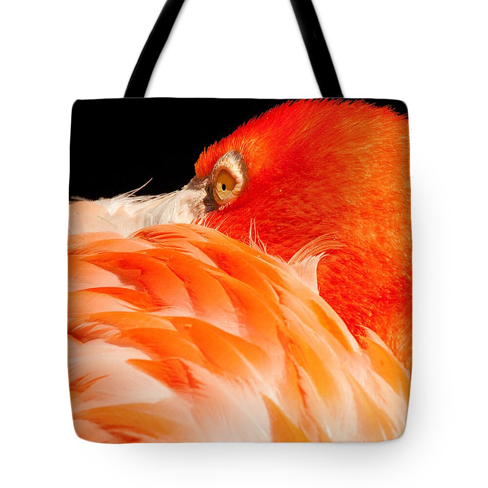 Flamingo Tote Bag featuring the photograph Beauty in Feathers by Kristia Adams