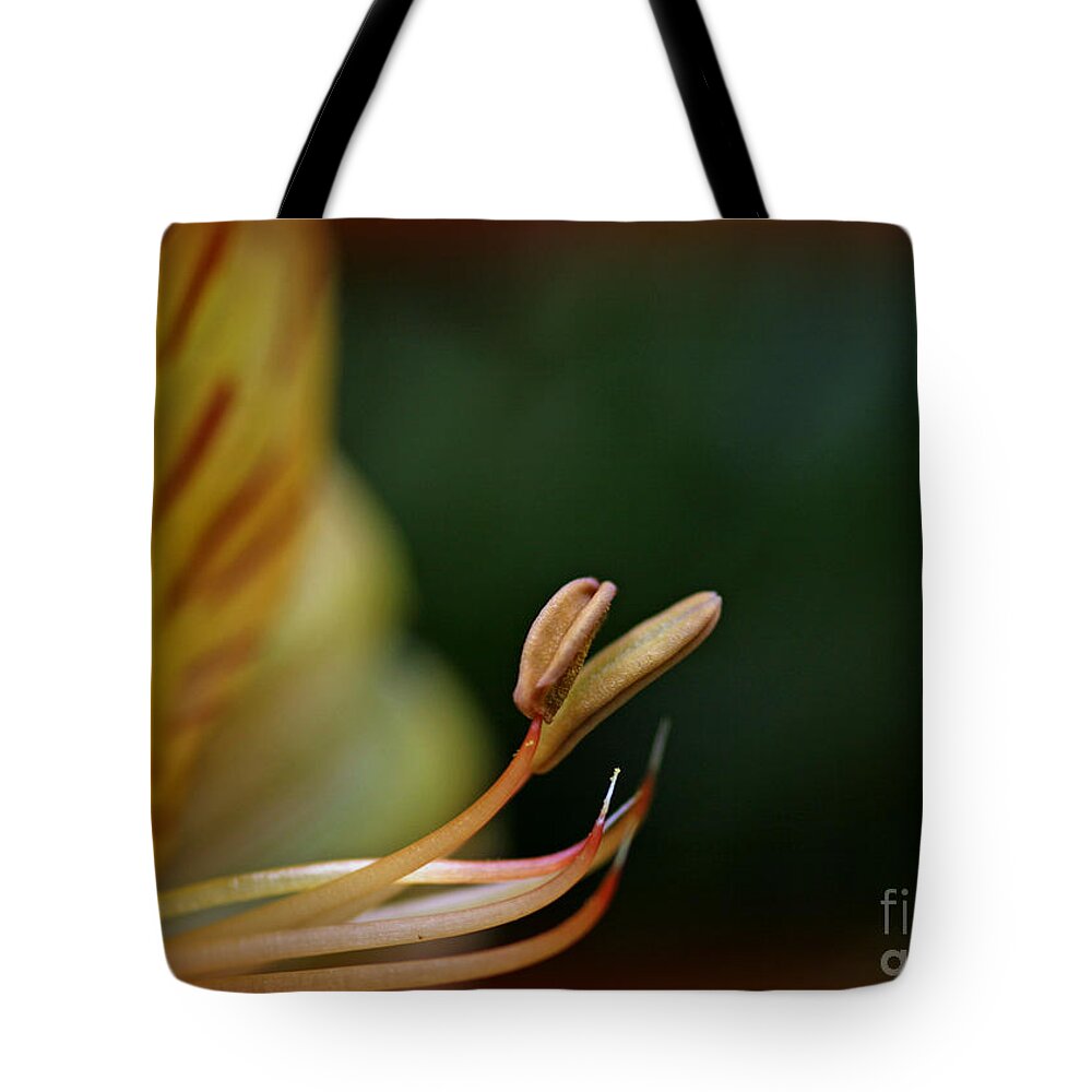 Design Tote Bag featuring the photograph Beauty in Her Soul by Sandra Clark