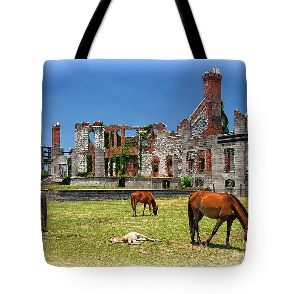 Crystal Yingling Tote Bag featuring the photograph Beauty in the Ruins by Ghostwinds Photography