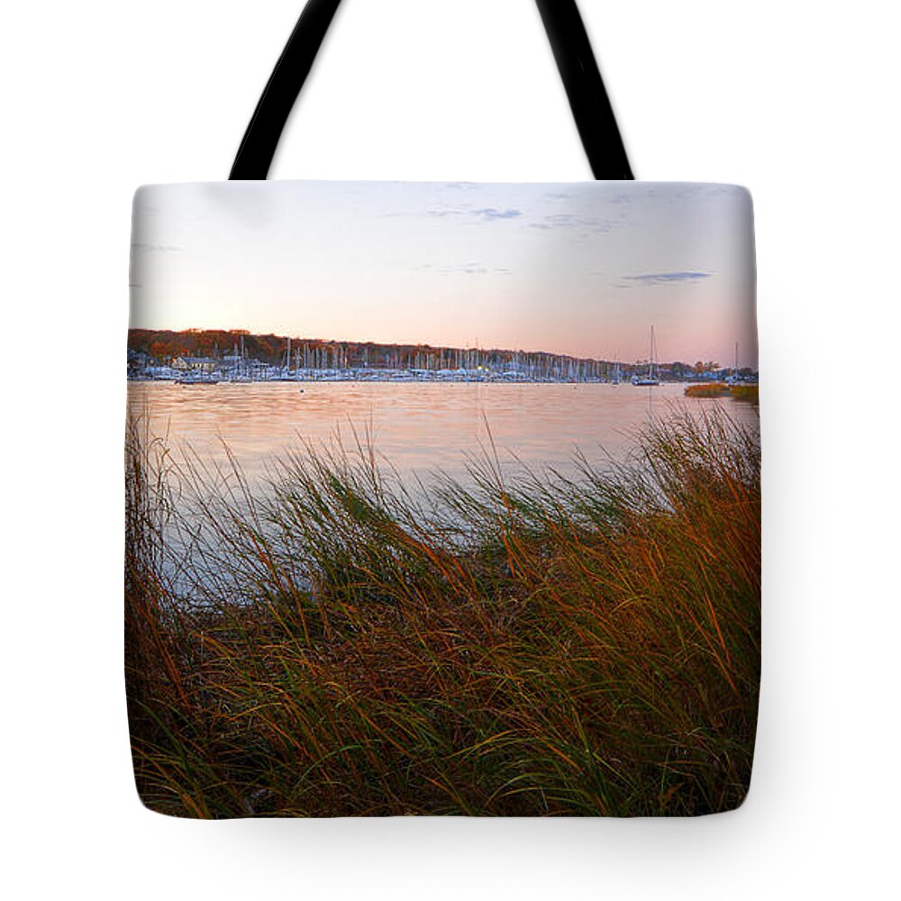 Goddard Memorial State Park Tote Bag featuring the photograph Beauty It Brings by Lourry Legarde