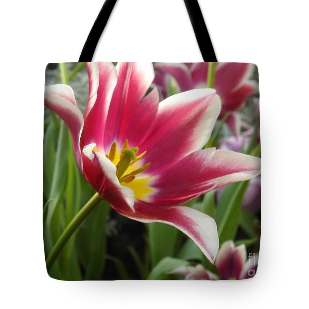 Flower Tote Bag featuring the photograph Beauty Within by Lingfai Leung