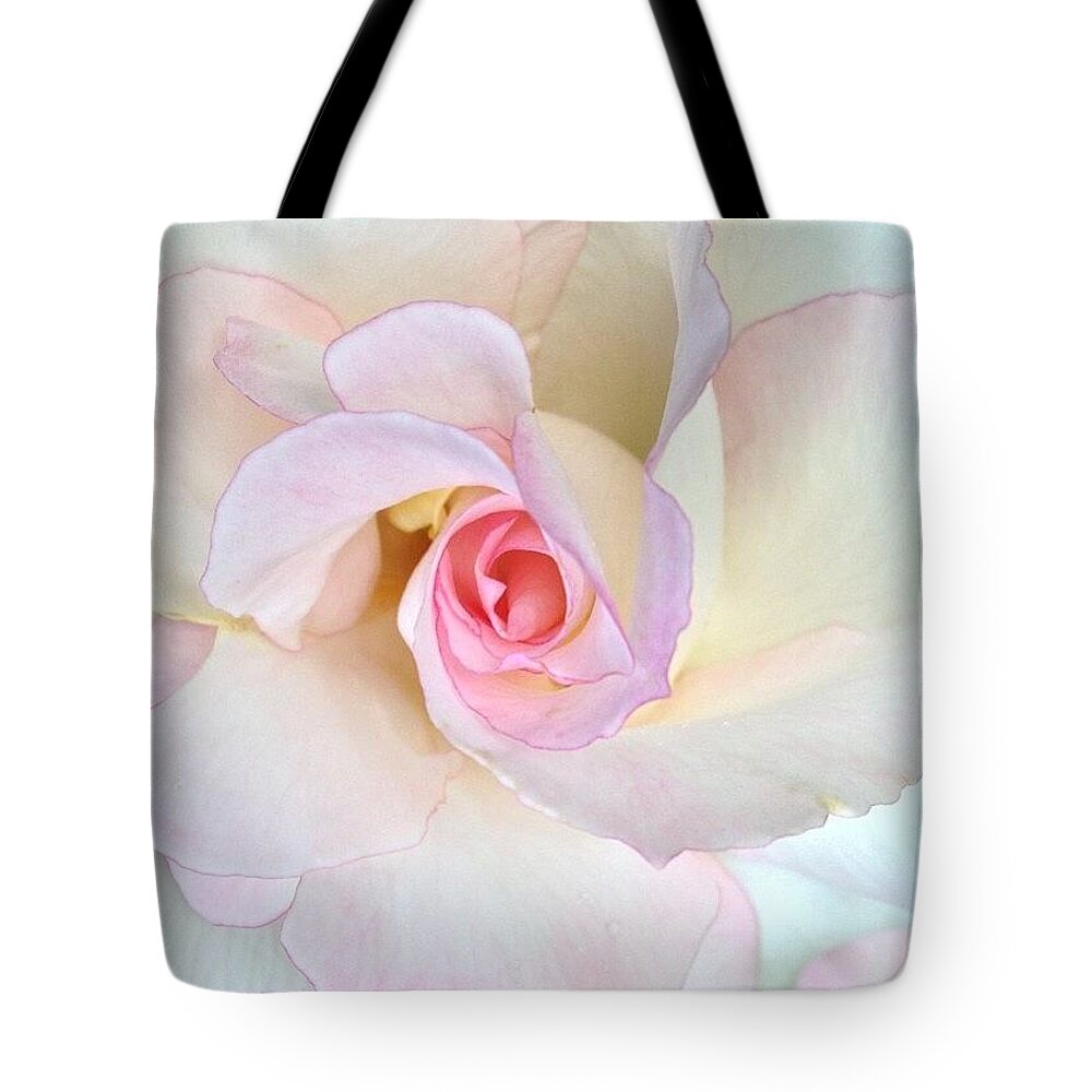 Palest Pink And White Rose Tote Bag featuring the photograph Palest Pink and White Rose by Anna Porter