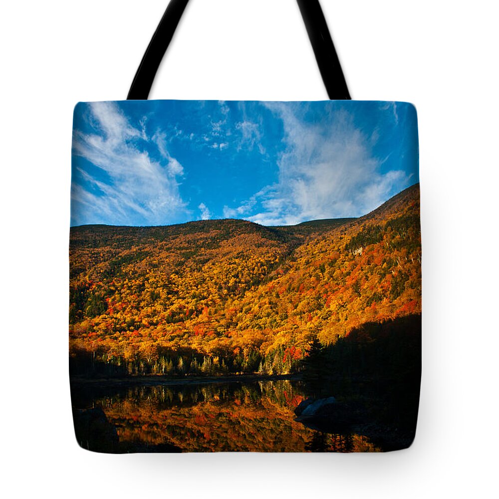 Landscape Tote Bag featuring the photograph Beaver Pond White Mountain National Forest by Benjamin Dahl