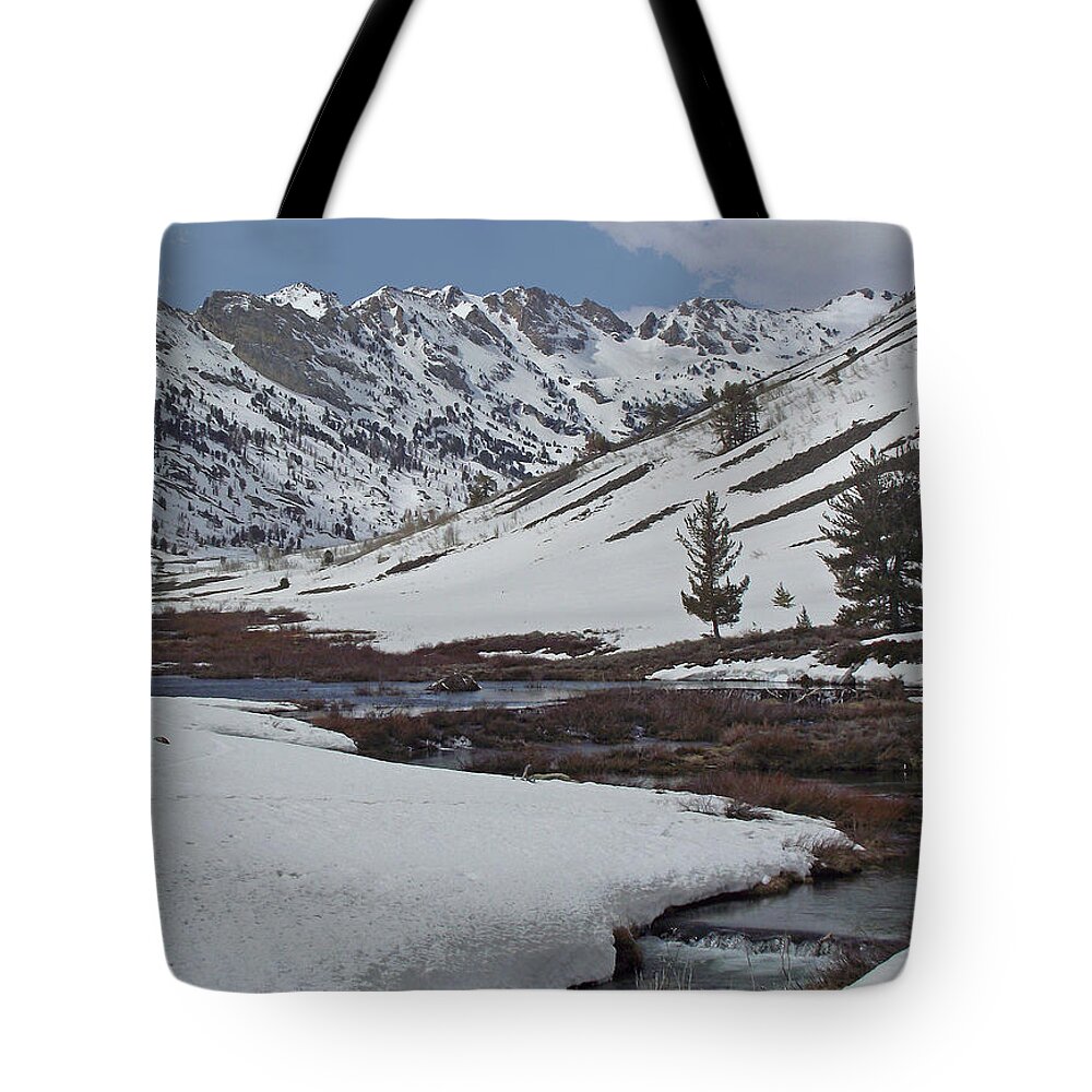 Beaver Tote Bag featuring the photograph Beaver Valley by Mike and Sharon Mathews
