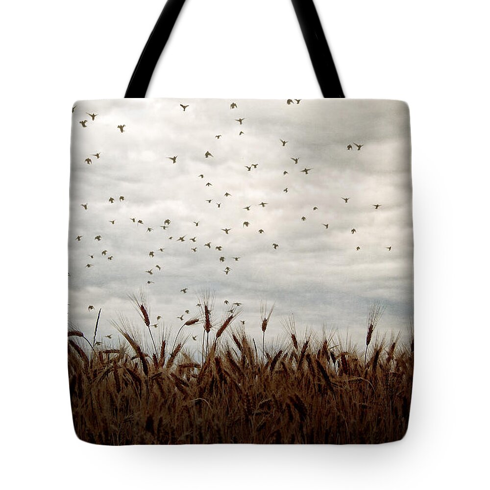 Blackbirds Tote Bag featuring the photograph Because of Them by Angie Rea