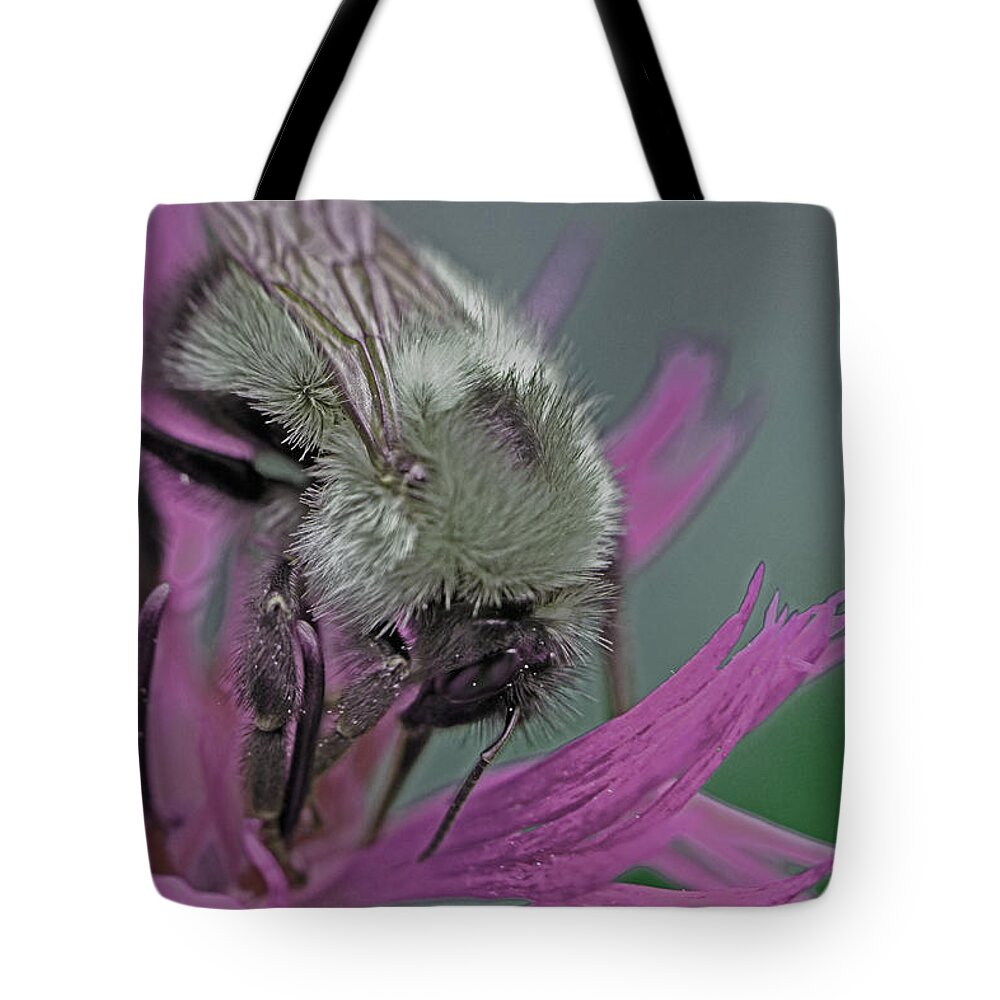 Insects Tote Bag featuring the photograph Bee Calm by Jennifer Robin