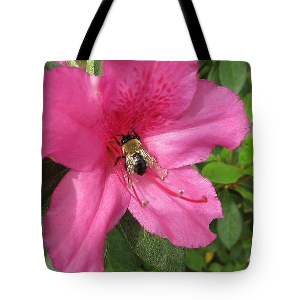 Bumble Bee Tote Bag featuring the photograph Bee Cause by Deborah Lacoste