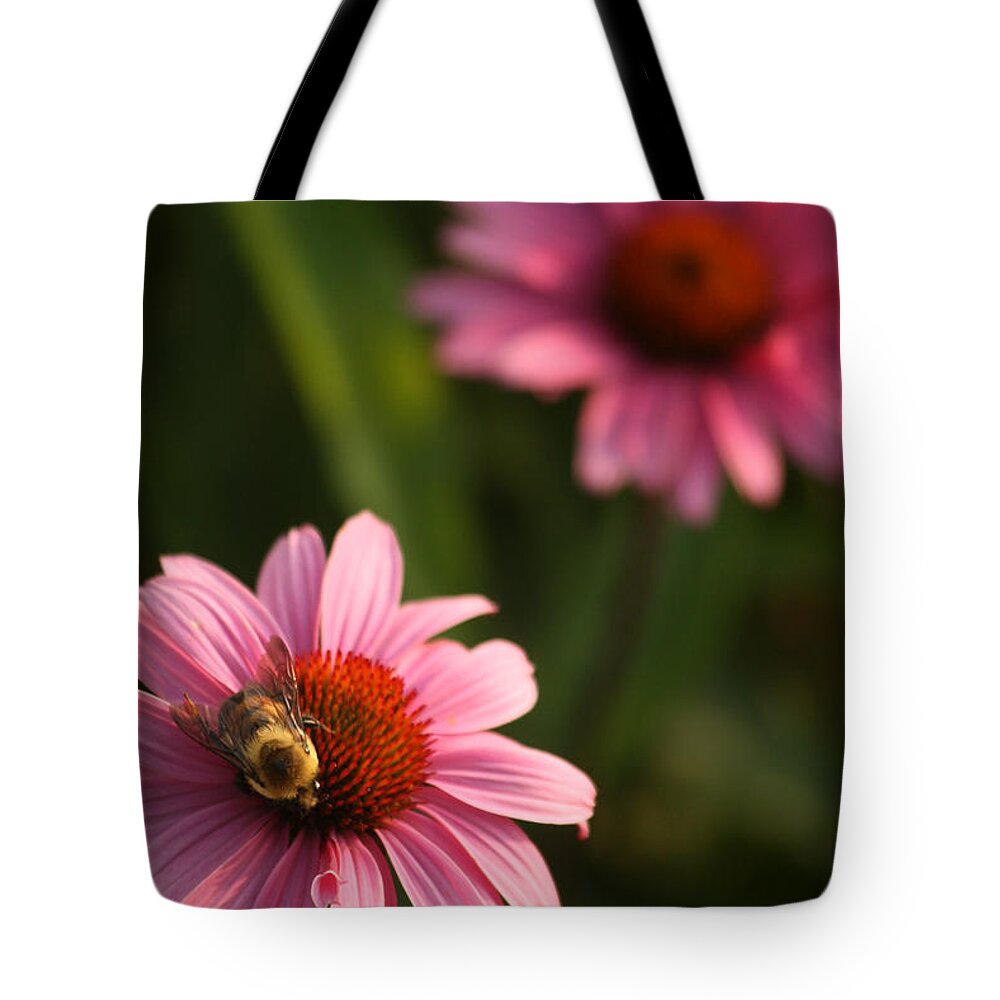 Bugs Tote Bag featuring the photograph Bee on Coneflower by Miss Crystal D