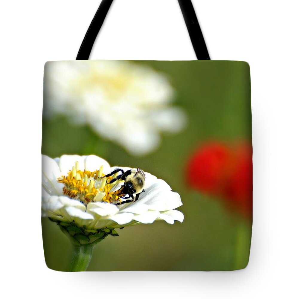 Bee Tote Bag featuring the photograph Bee Red-y by Diana Angstadt