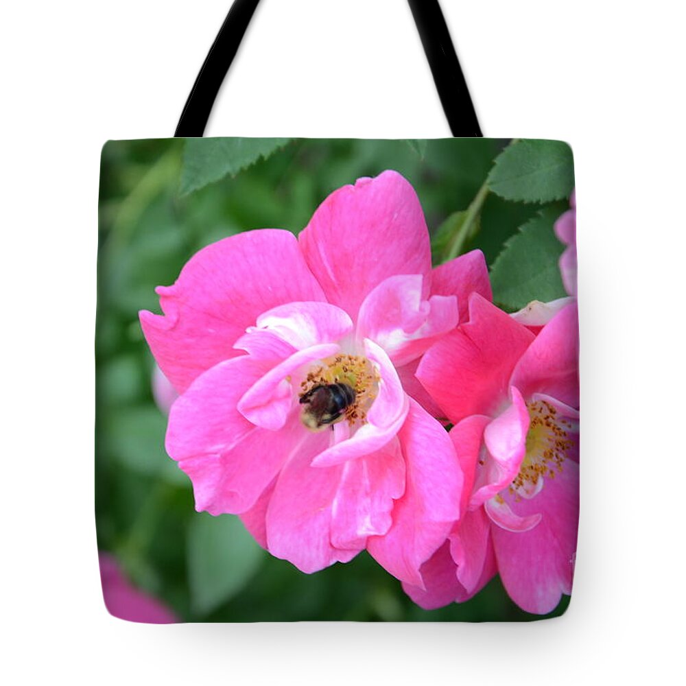 Bee Tote Bag featuring the photograph Bee Rosy by Laurel Best