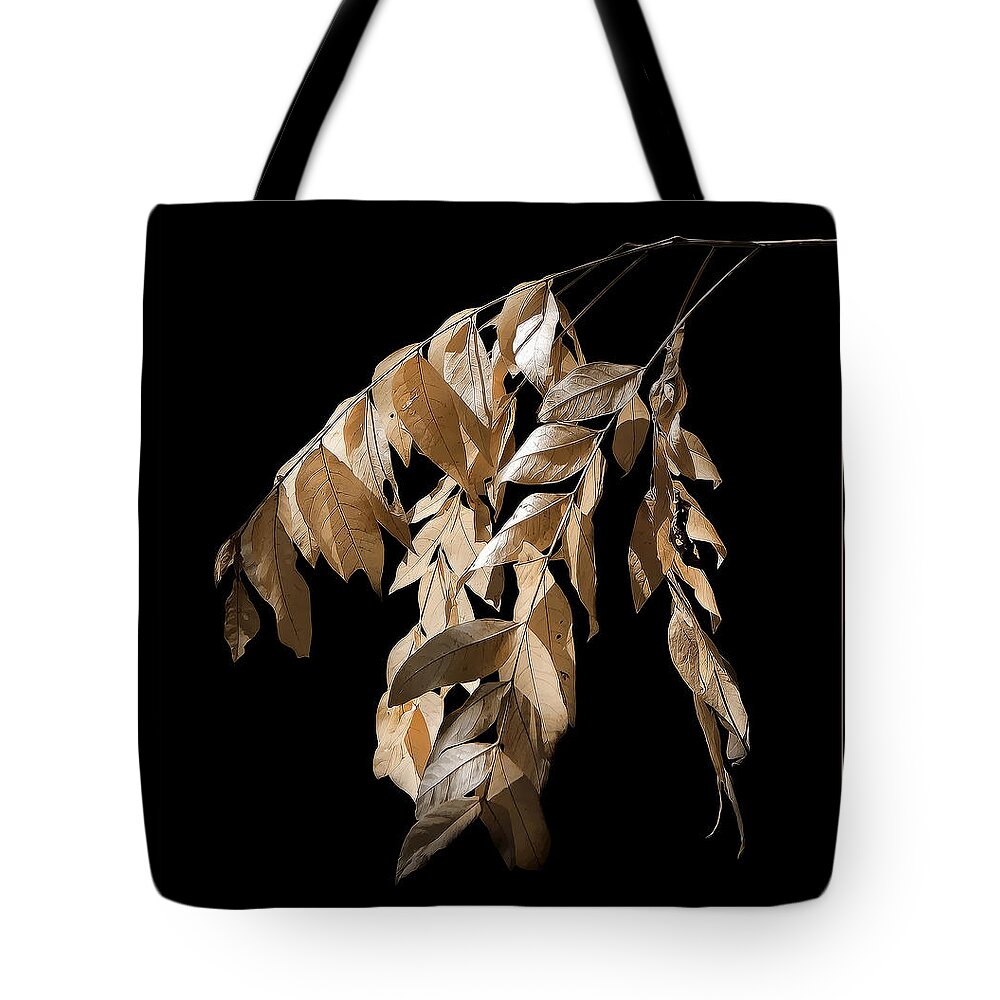 Fall Tote Bag featuring the photograph Before the Fall by Lucy VanSwearingen