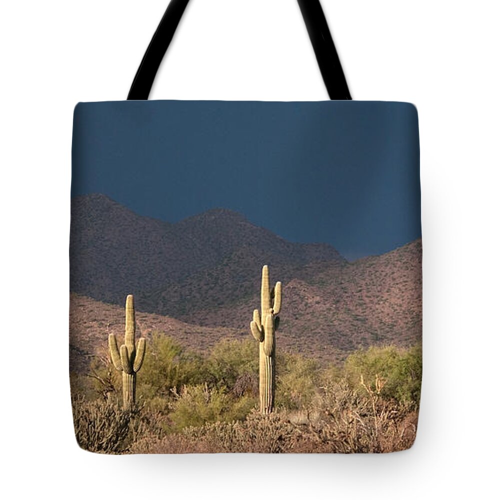Saguaro Tote Bag featuring the photograph Before the Storm by Tam Ryan
