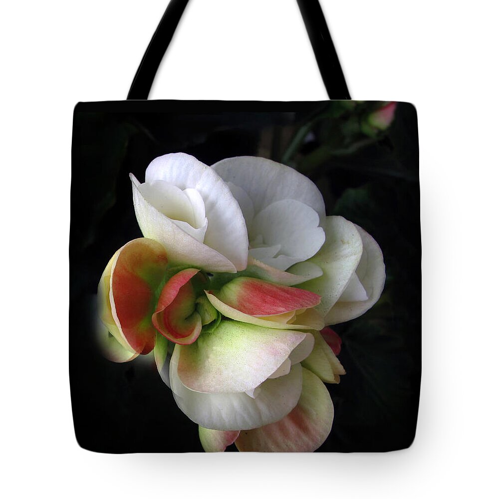 Flower Tote Bag featuring the photograph Begonia Petals by Jessica Jenney