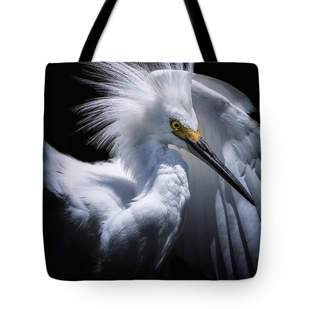 Crystal Yingling Tote Bag featuring the photograph Behind the Curtain by Ghostwinds Photography