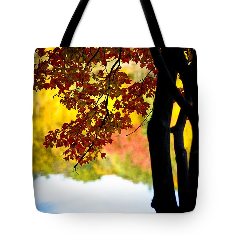 Landscape Tote Bag featuring the photograph Beneath the Leaves by Crystal Wightman