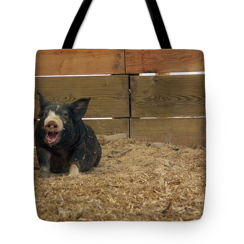 Agricultural Tote Bag featuring the photograph Berkshire Pig by Bonnie Sue Rauch