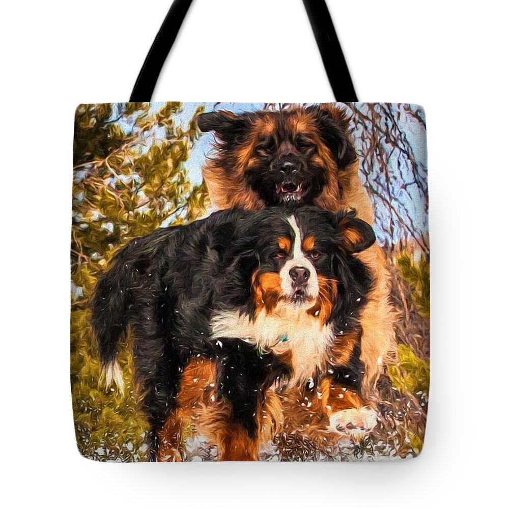 Bernese Mountain Dog Tote Bag featuring the photograph Bernese Mountain Dog and Leonberger Winter Fun by Gary Whitton
