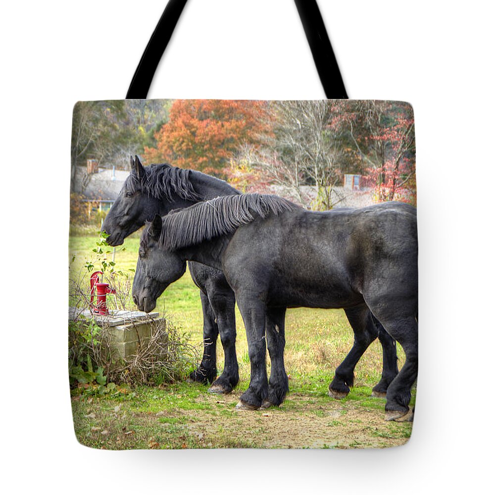 Horse Tote Bag featuring the photograph Best Friends by Donna Doherty