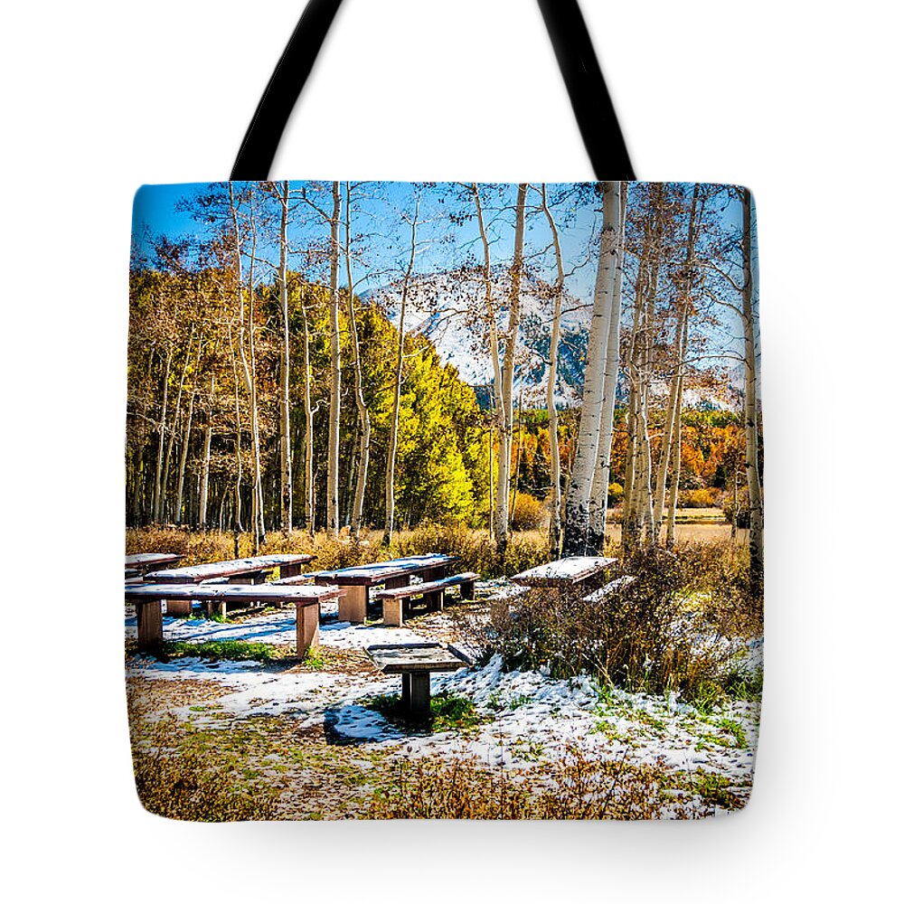 Bob And Nancy Kendrick Tote Bag featuring the photograph Better Re-Think That Picnic by Bob and Nancy Kendrick
