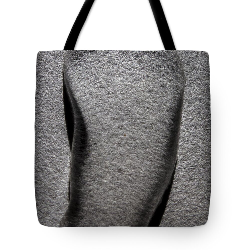 Between Black And White Tote Bag featuring the photograph Between Black and White-31 by Casper Cammeraat