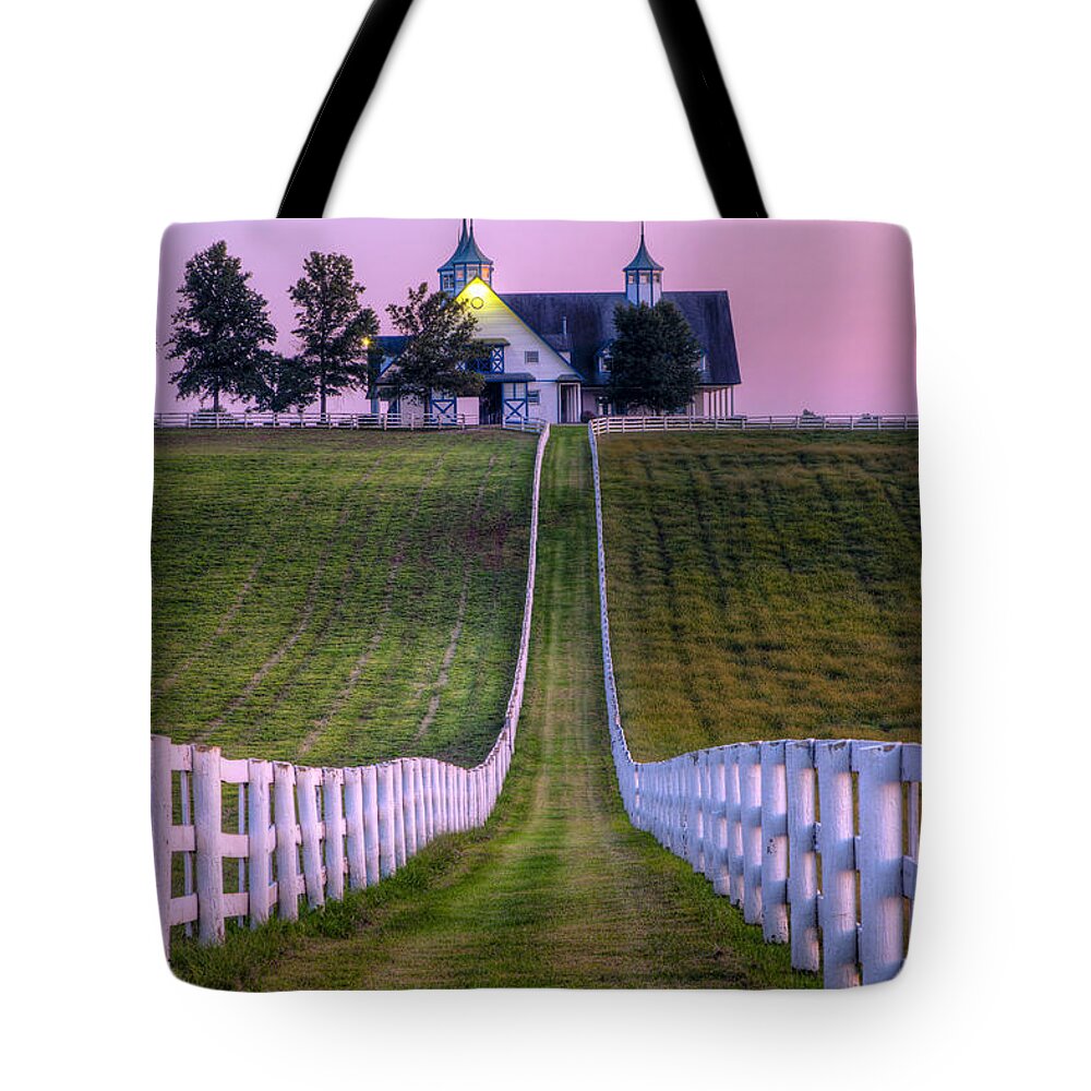 Fence Tote Bag featuring the photograph Between The Fences by Alexey Stiop