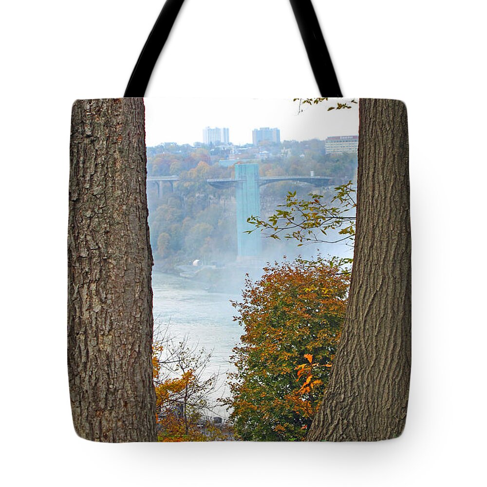 Trees Tote Bag featuring the photograph Between the Trees by Barbara McDevitt