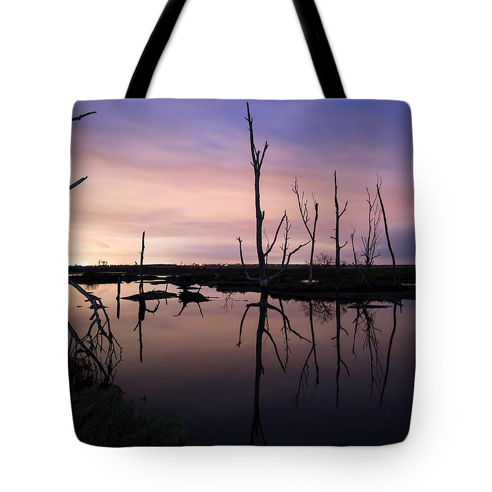 Nature Tote Bag featuring the photograph Between Two Worlds By Denise Dube by Denise Dube