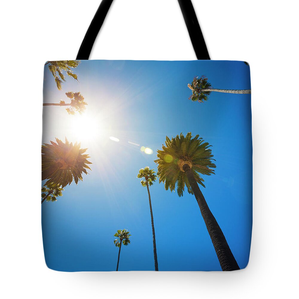 Beverly Hills Tote Bag featuring the photograph Beverly Hills Palm Trees by Lpettet