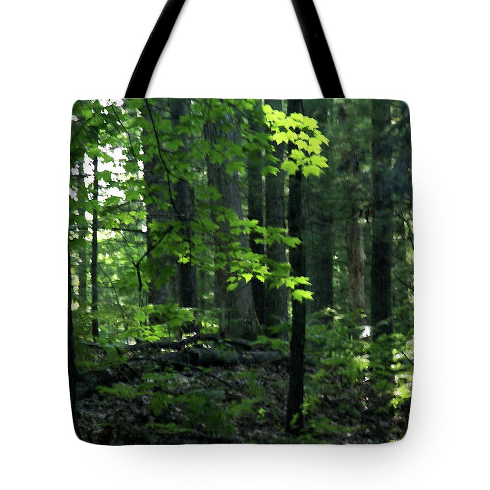 Forest Tote Bag featuring the photograph Beyond The Trees by Linda Shafer
