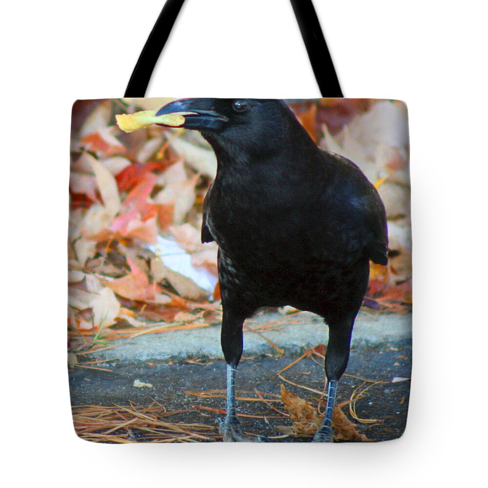 Crow Tote Bag featuring the photograph Big Daddy Crow Leaf Picker by Lesa Fine