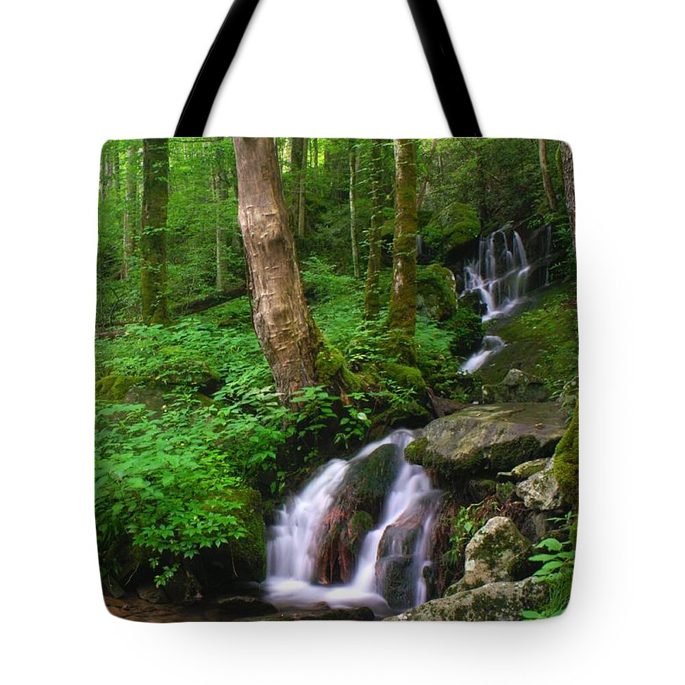 Art Prints Tote Bag featuring the photograph Big Hollow Creek Cascade by Nunweiler Photography