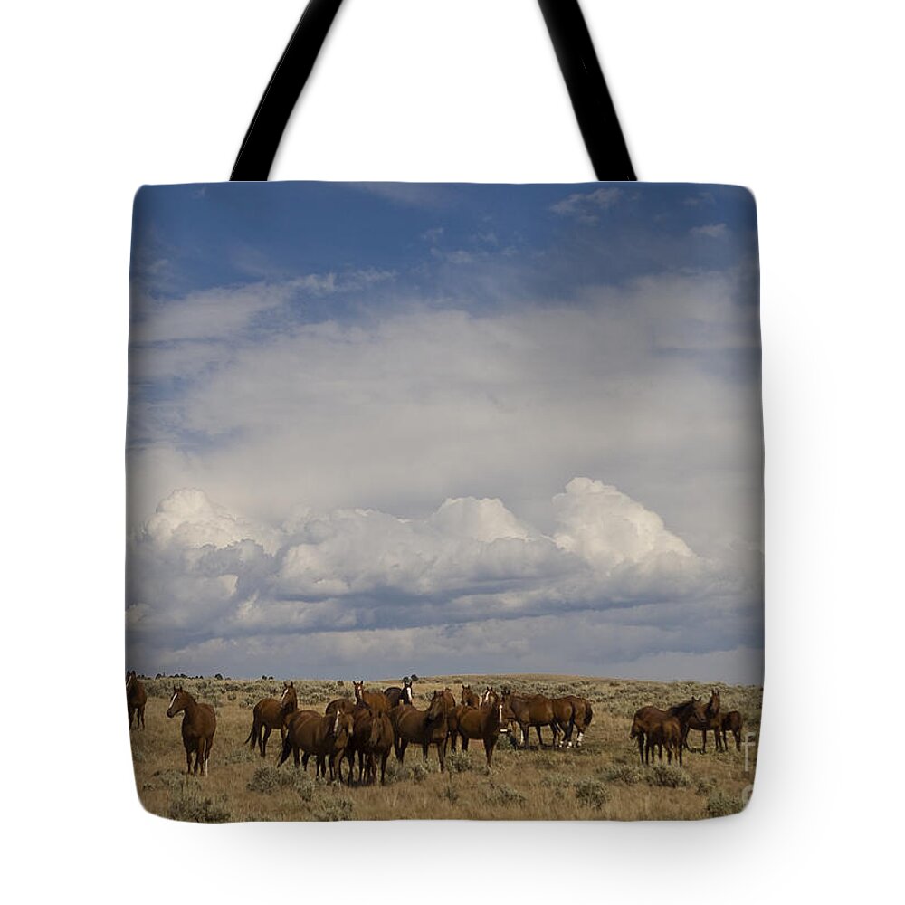Equidae Equus Caballus Tote Bag featuring the photograph Big Horn Brood Mares by J L Woody Wooden