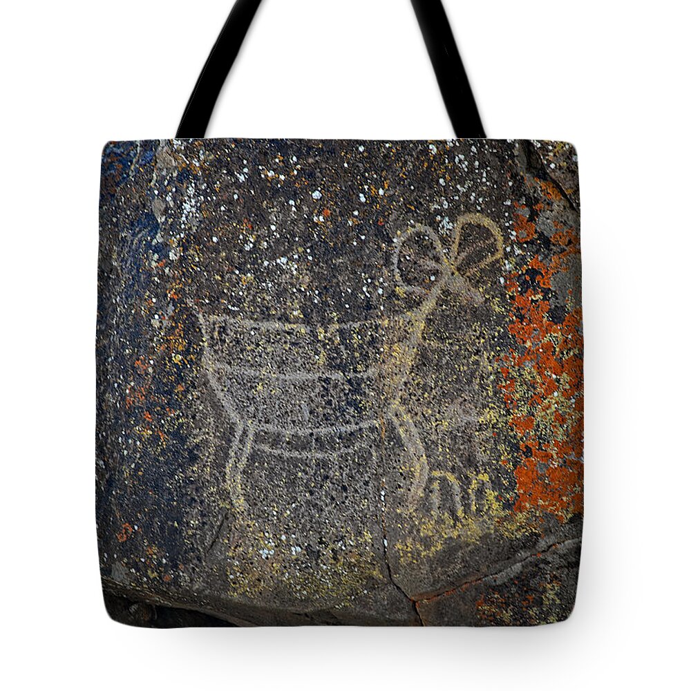 Petroglyph Tote Bag featuring the photograph Big sheep petroglyph by John Bennett
