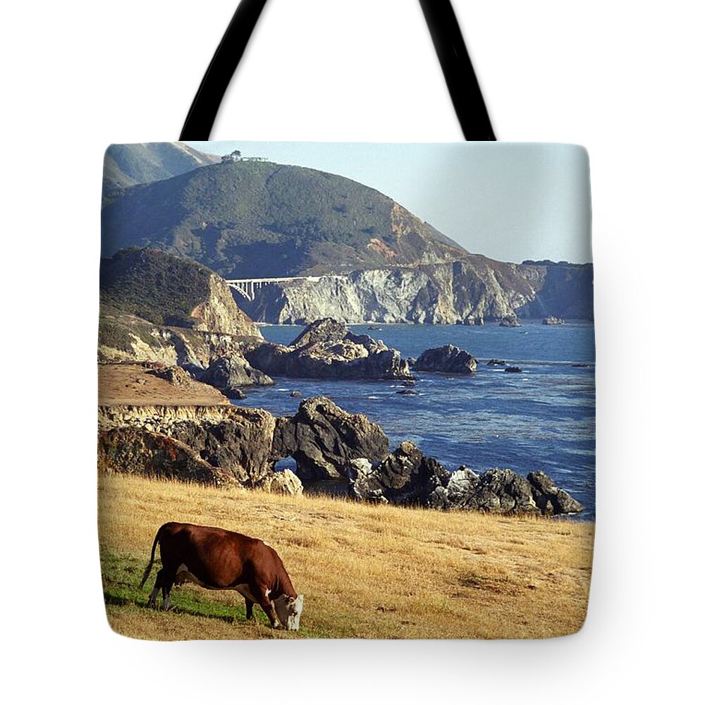 Cow Tote Bag featuring the photograph Big Sur Cow by James B Toy