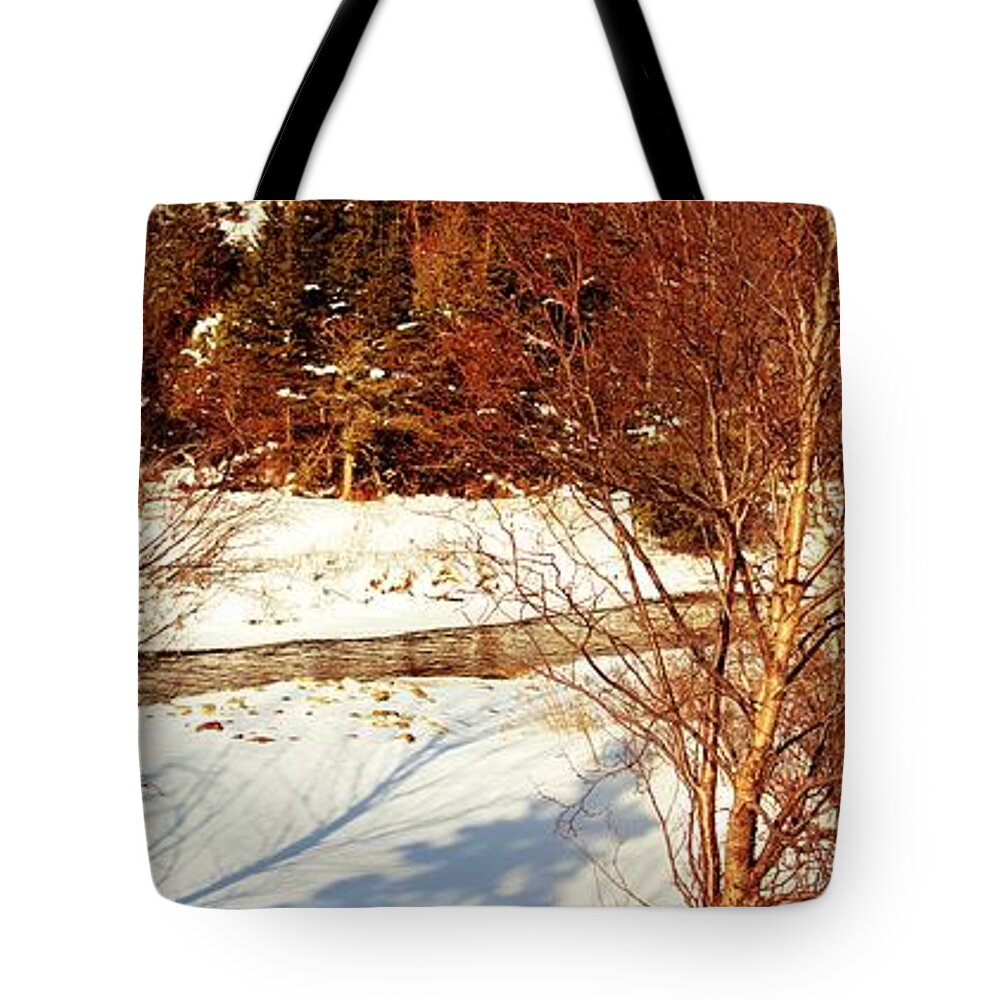 Birch Tote Bag featuring the photograph Birches - Brook - Snow by Barbara A Griffin