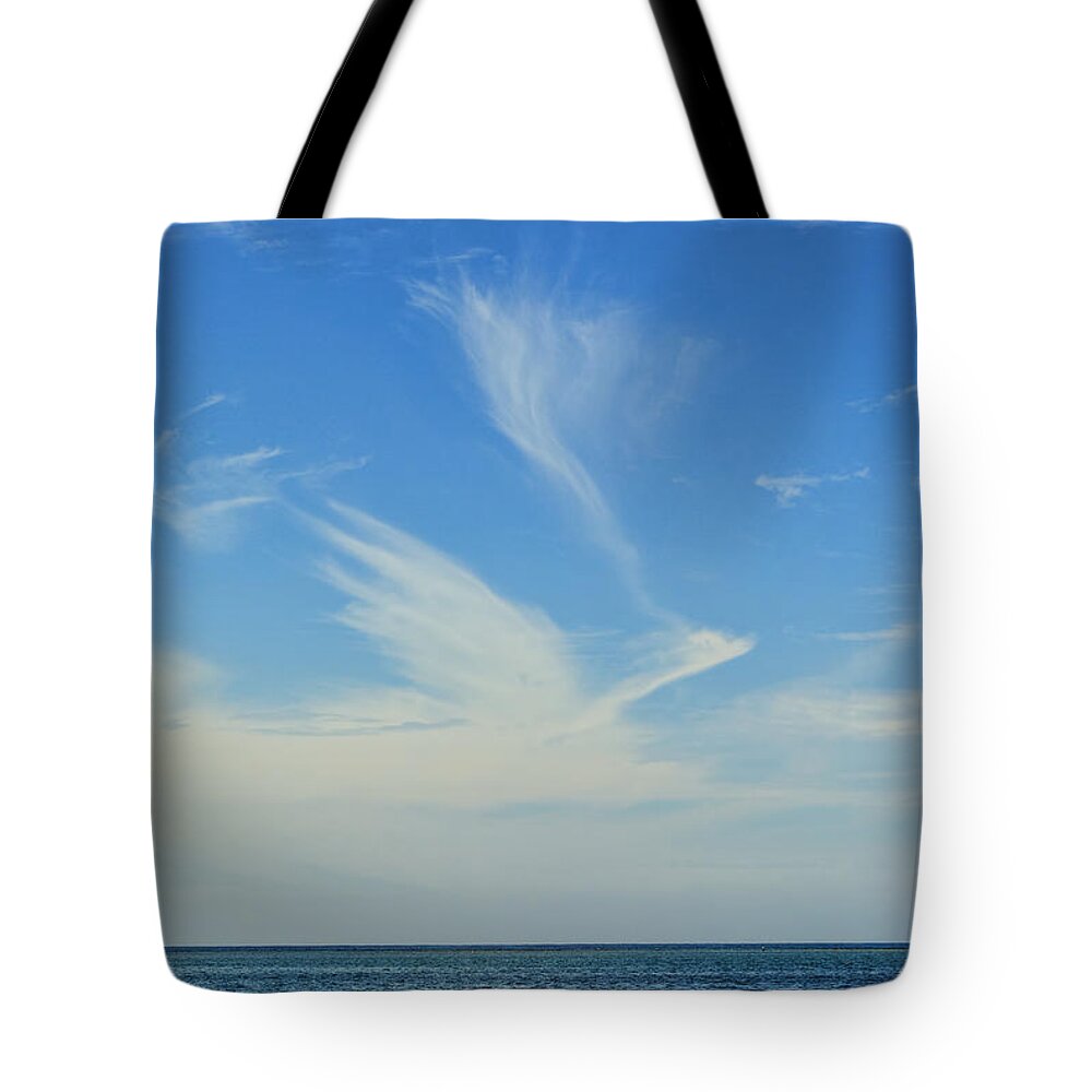 Bird Tote Bag featuring the photograph Bird Cloud by David Hart