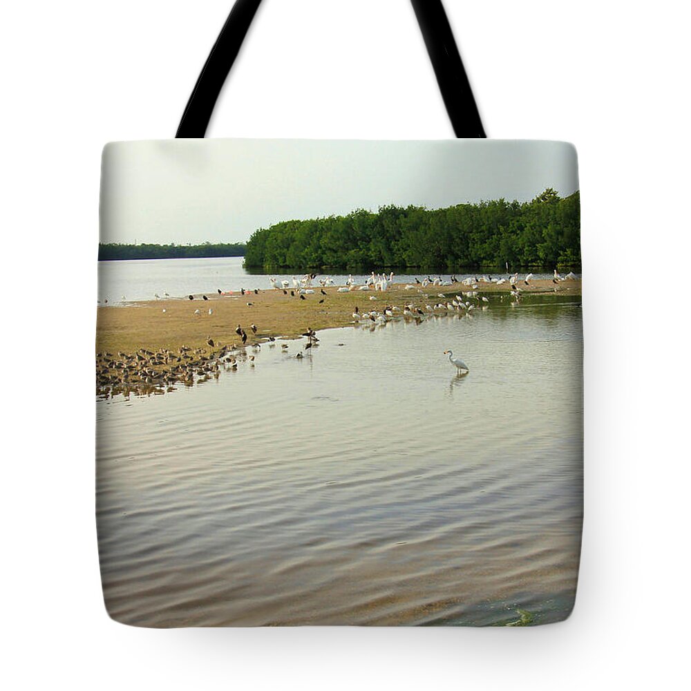 Bird Tote Bag featuring the photograph Bird Experience by Rosalie Scanlon